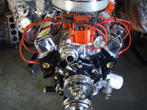 Ford 302 engine