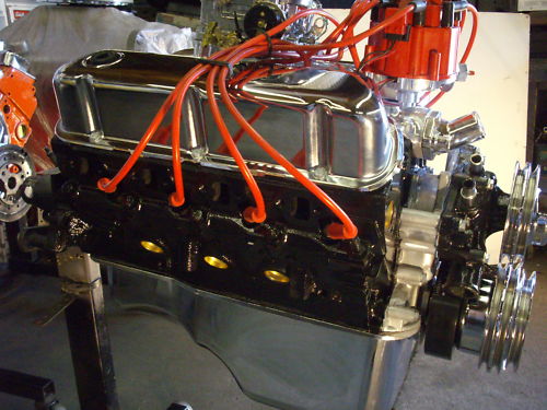 Ford 302 engine